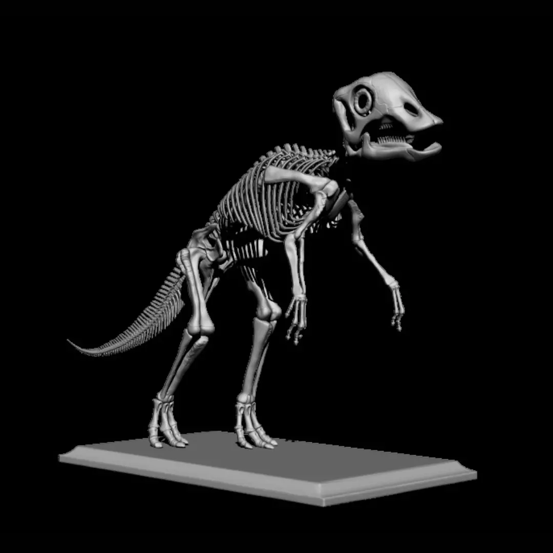bebe maiasaura v2 3D print model_4
