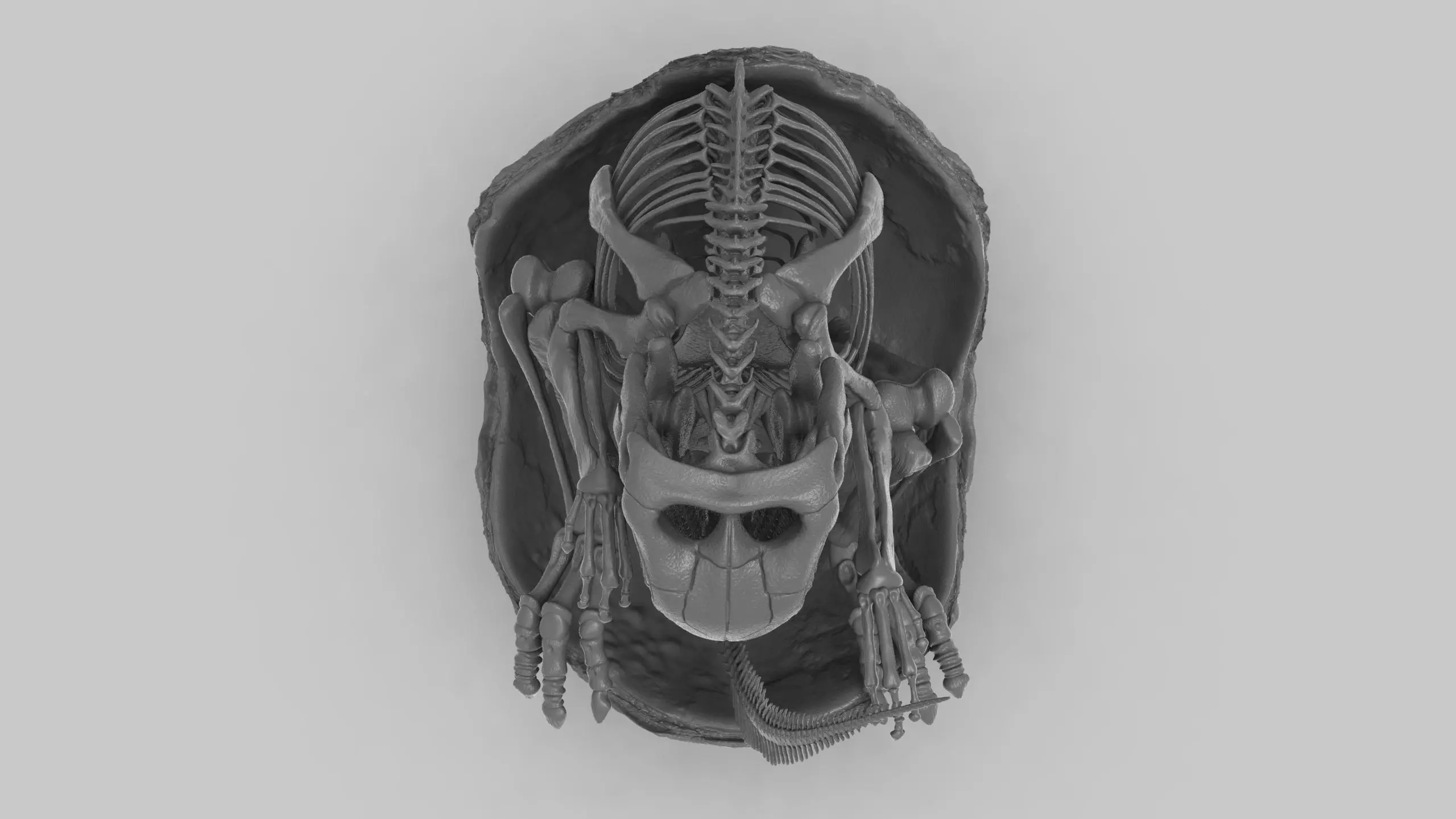 bebe maiasaura con huevo 3D print model_5