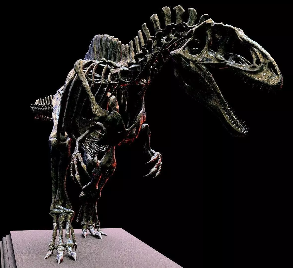Acrocanthosaurus skeleton 3D print model_0