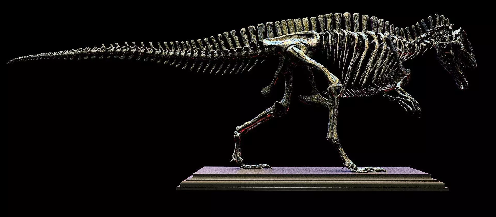 Acrocanthosaurus skeleton 3D print model_4