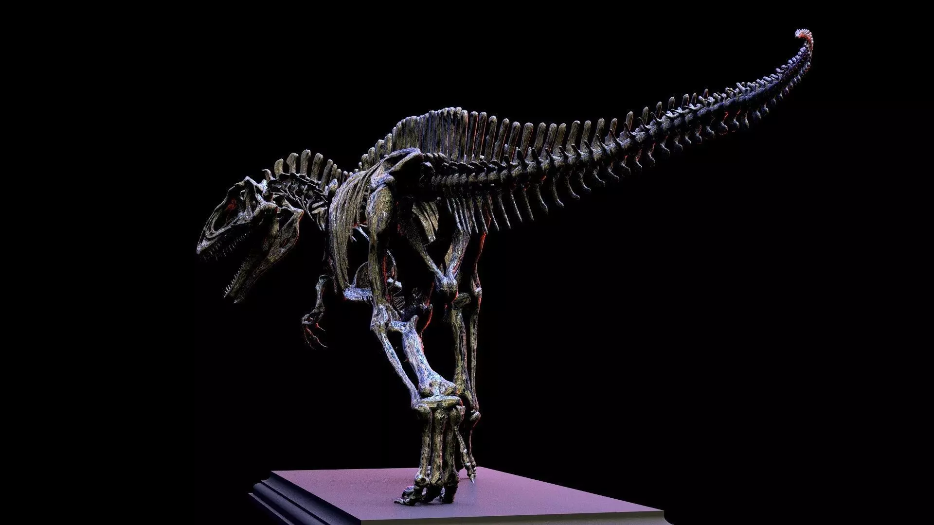 Acrocanthosaurus skeleton 3D print model_5
