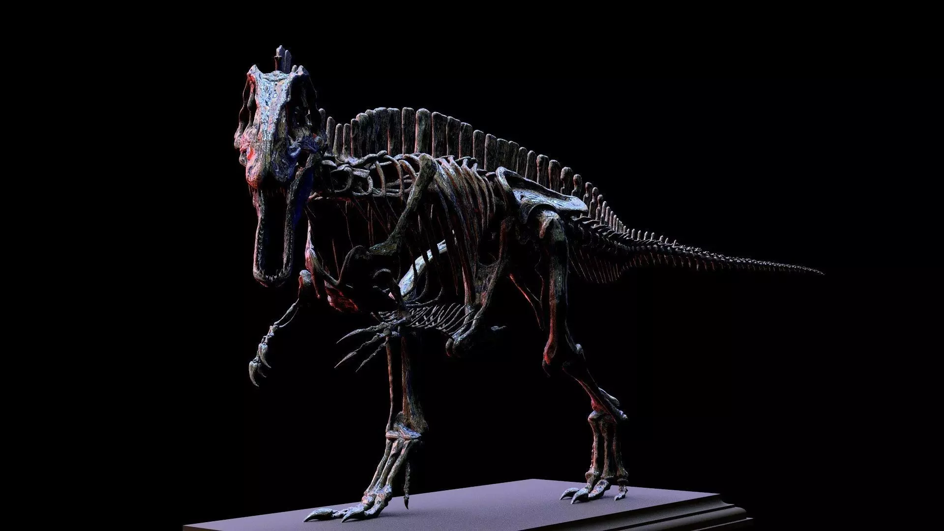 Acrocanthosaurus skeleton 3D print model_2