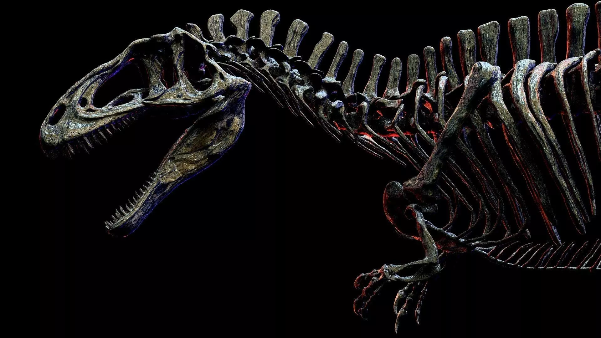 Acrocanthosaurus skeleton 3D print model_6