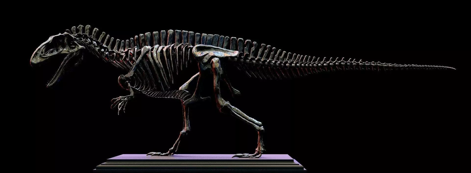 Acrocanthosaurus skeleton 3D print model_1
