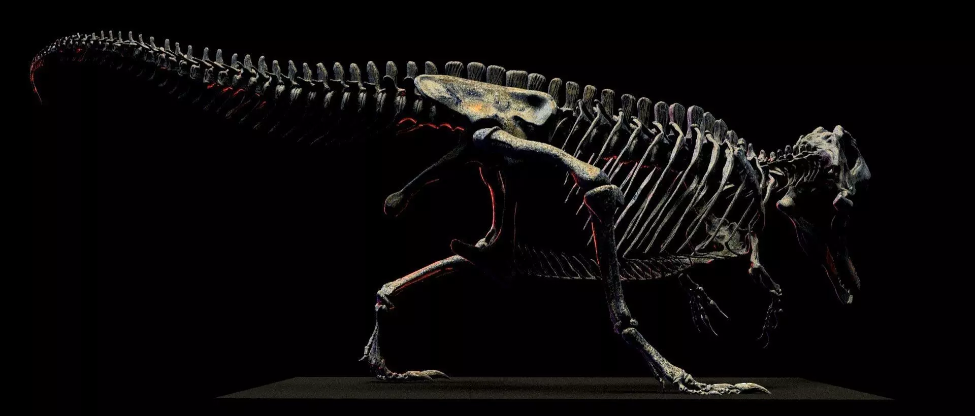 GIGANOTOSAURUS SKELETON 3D print model_5