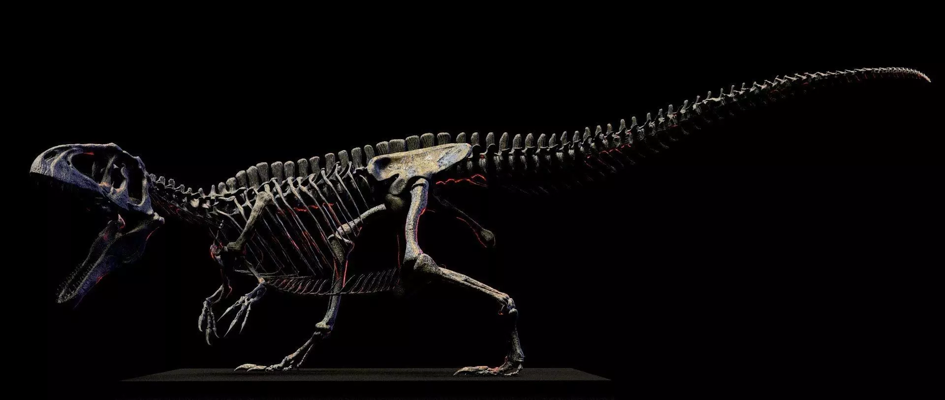 GIGANOTOSAURUS SKELETON 3D print model_1
