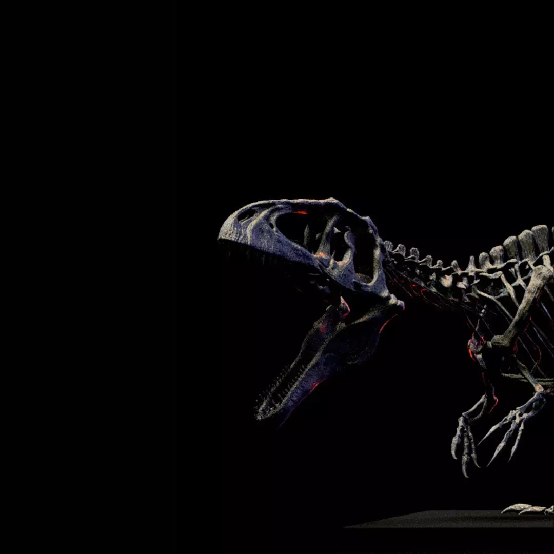 GIGANOTOSAURUS SKELETON 3D print model_0