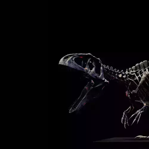 GIGANOTOSAURUS SKELETON