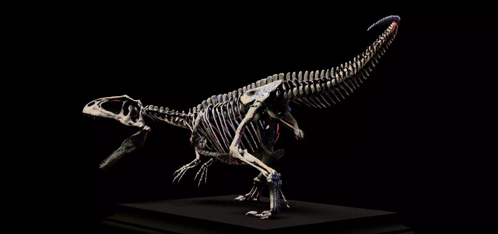 GIGANOTOSAURUS SKELETON 3D print model_6