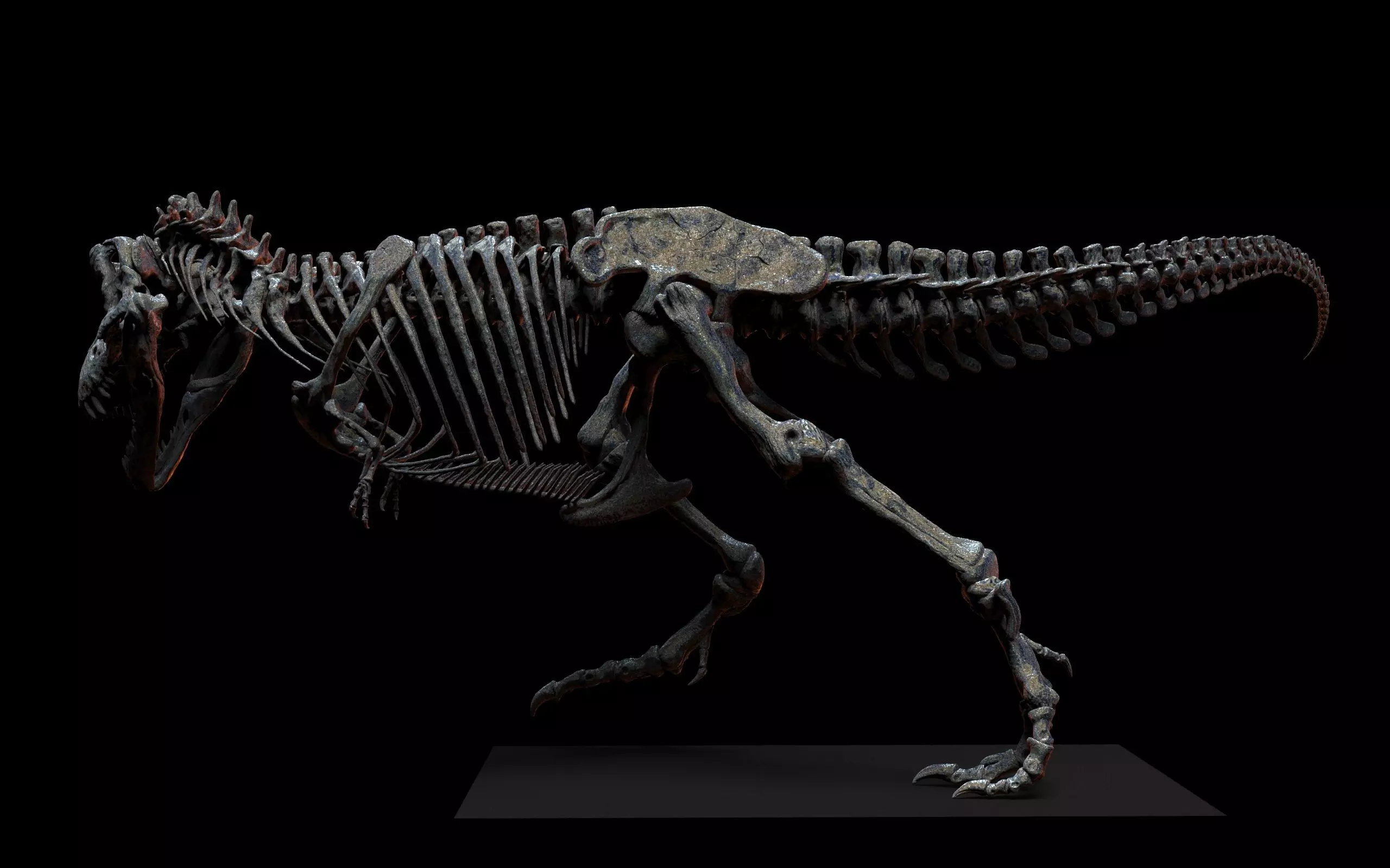 TYRANNOSAURUS SKELETON  3D print model_2