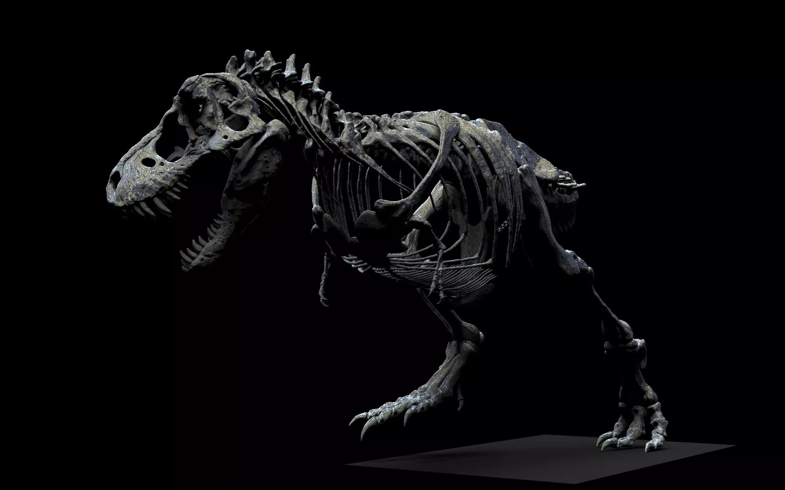 TYRANNOSAURUS SKELETON  3D print model_8