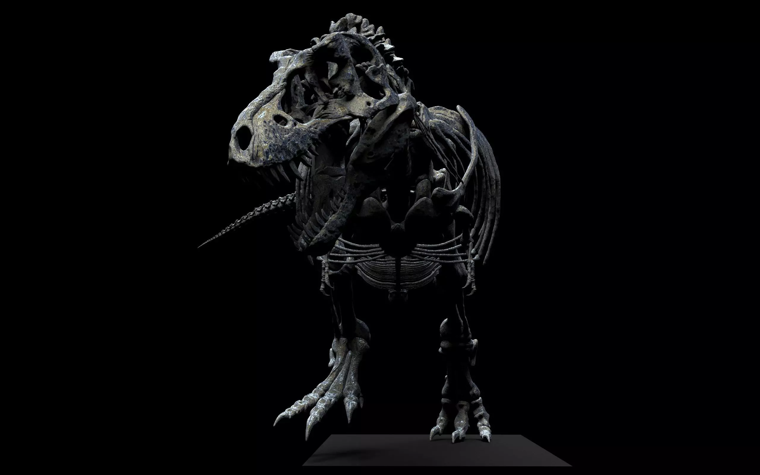 TYRANNOSAURUS SKELETON  3D print model_7