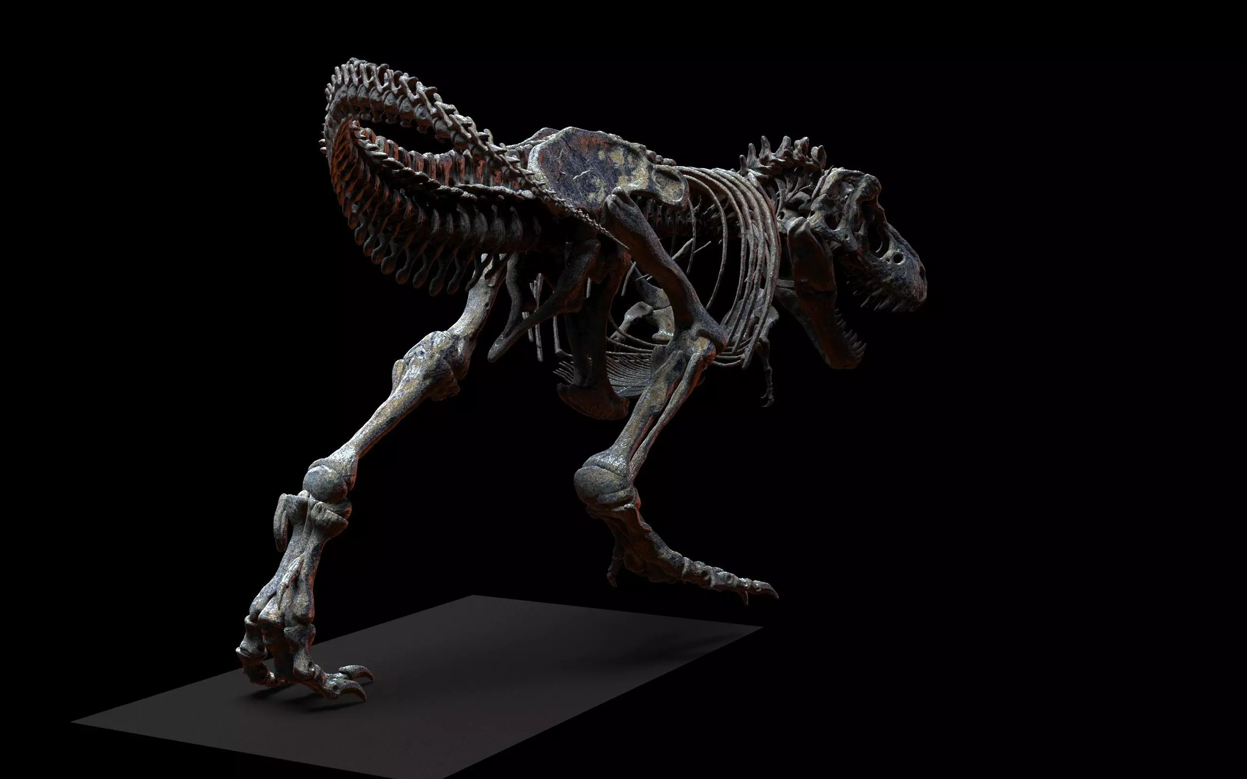 TYRANNOSAURUS SKELETON  3D print model_3