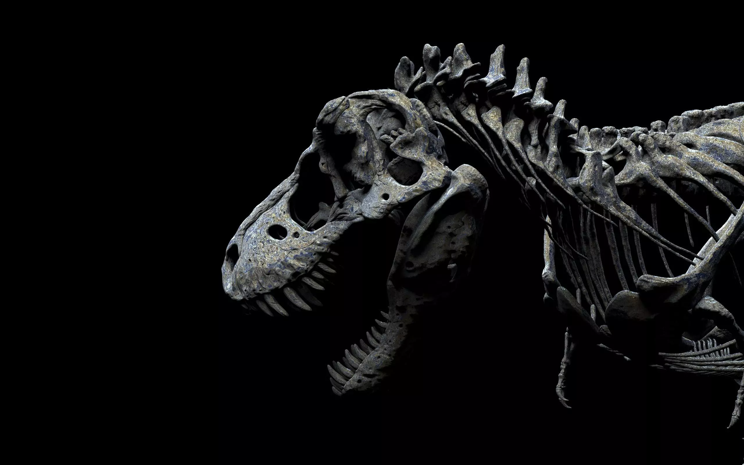 TYRANNOSAURUS SKELETON  3D print model_0