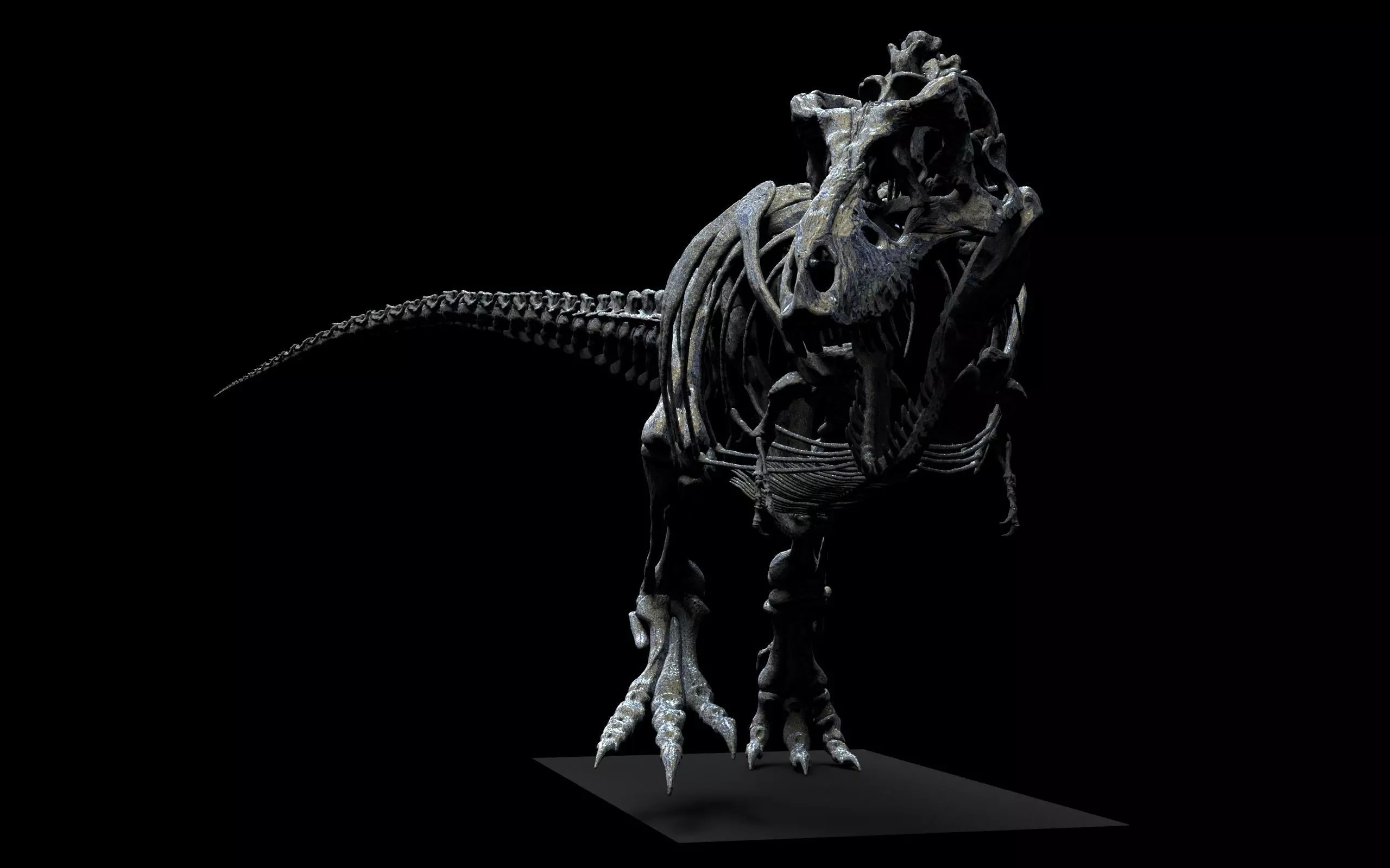 TYRANNOSAURUS SKELETON  3D print model_6