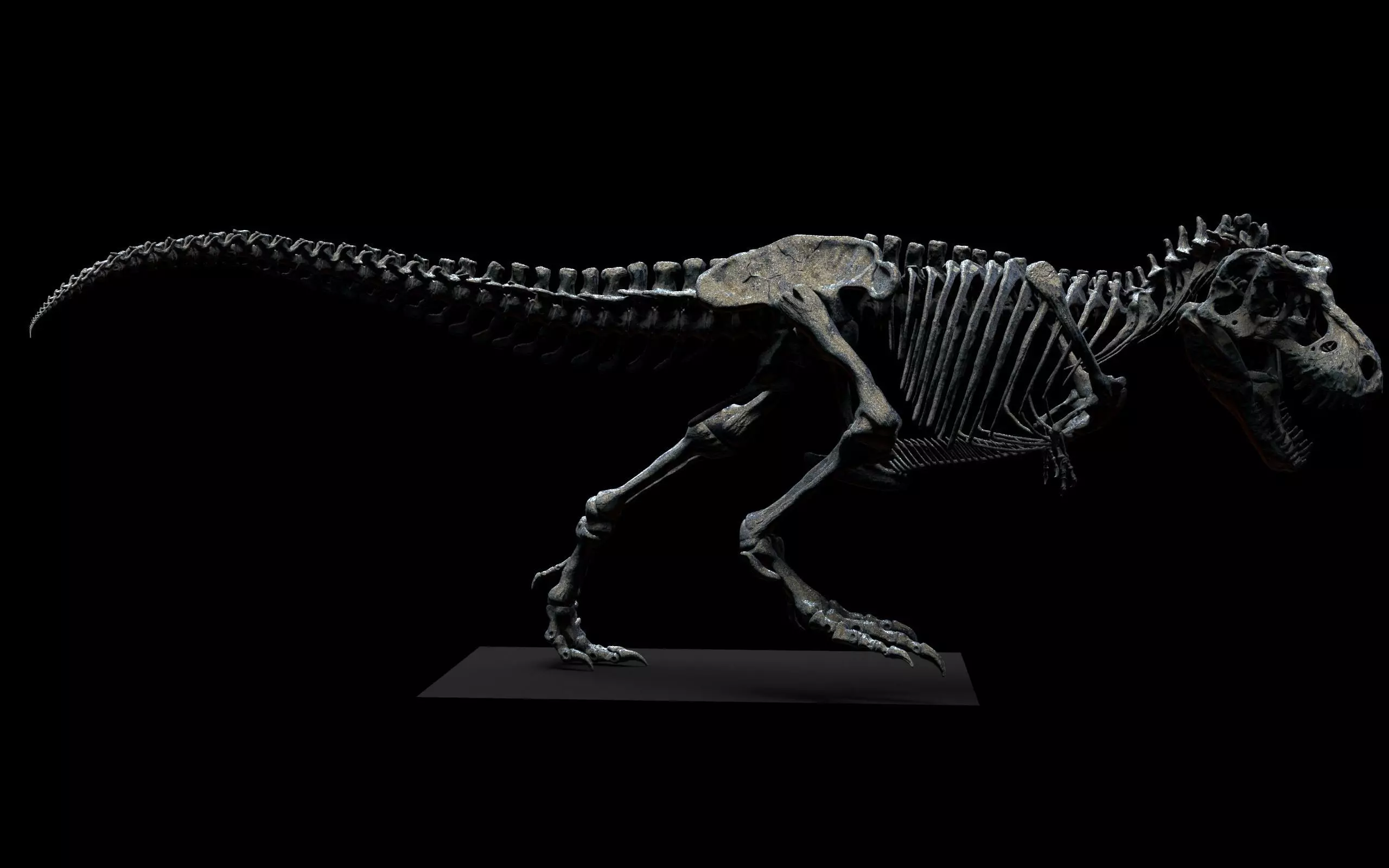 TYRANNOSAURUS SKELETON  3D print model_4