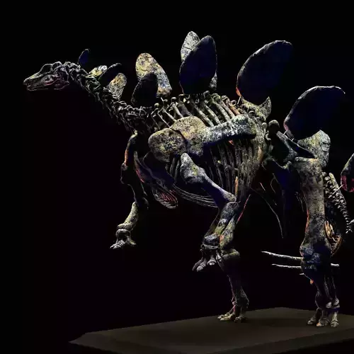 SKELETON STEGOSAURUS PARTE