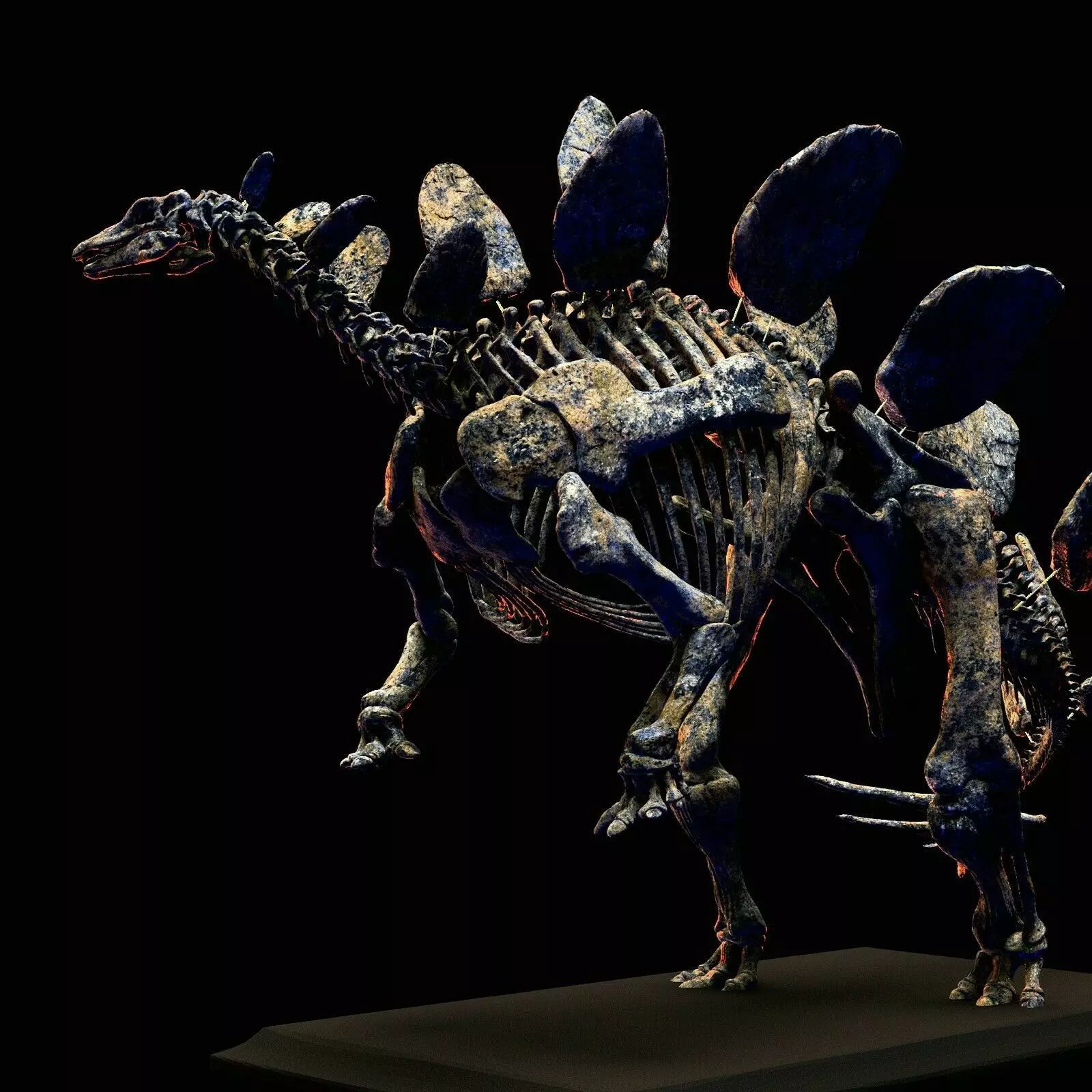SKELETON STEGOSAURUS PARTE 3D print model