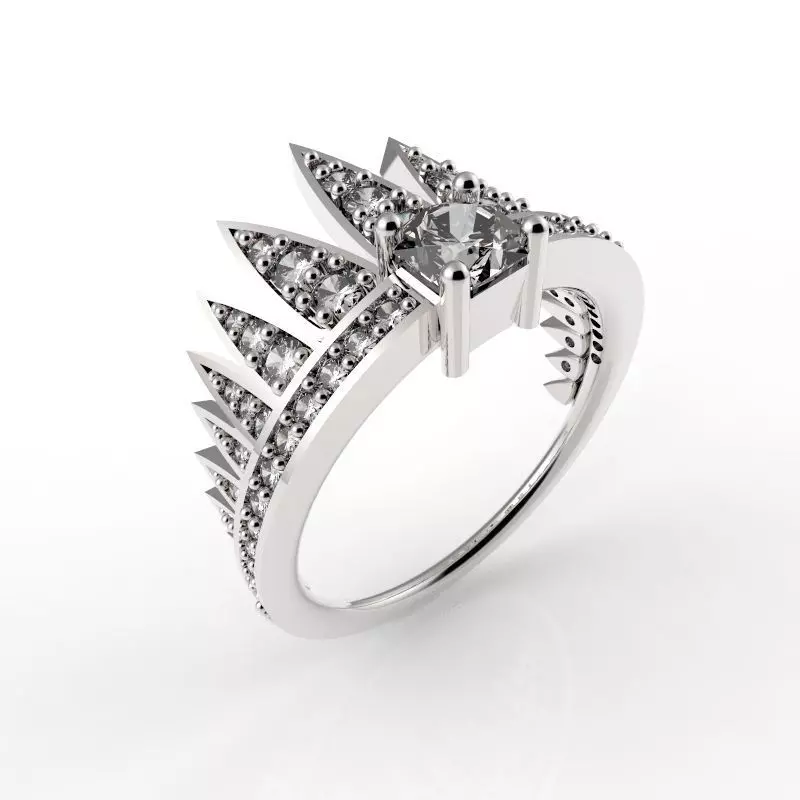 RING COMET SIMPLE 3D print model_0