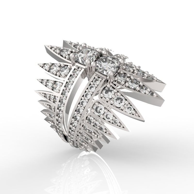 RING COMET DOUBLE 3D print model_10