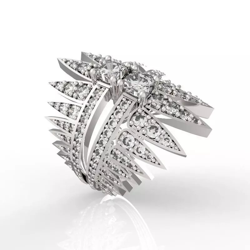 RING COMET DOUBLE 3D print model_0