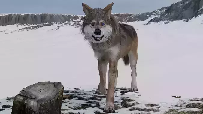 realistic 3d wolf