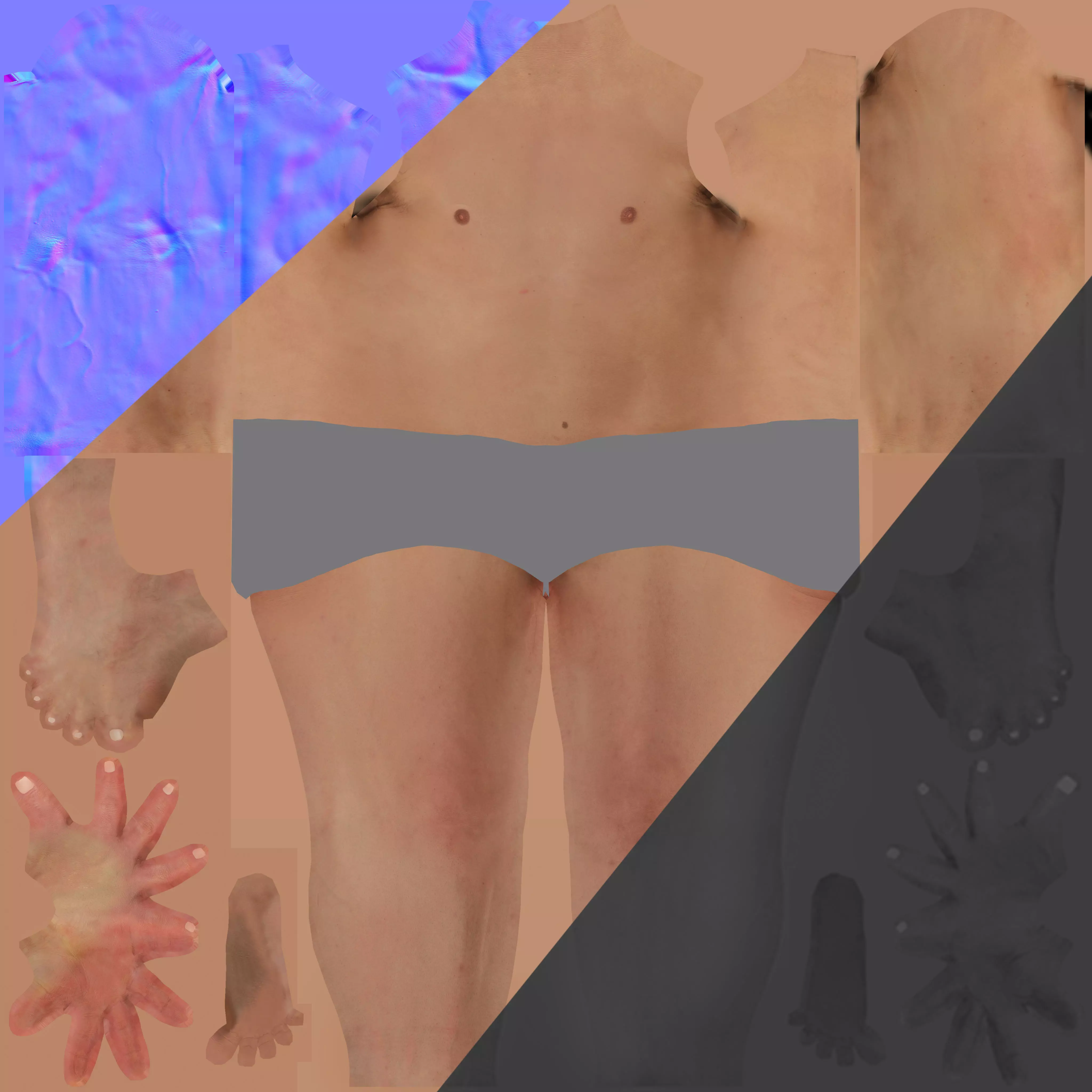 military officer navy united states 3D model Low-poly 3D model_7