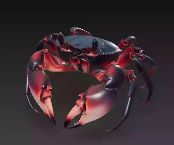 Crimson Crab - Realistic Sea Creature 3D Model