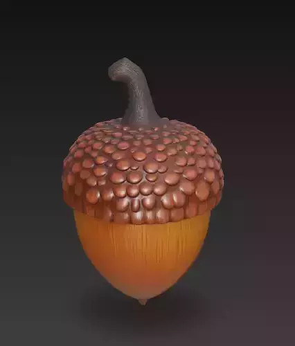 Stylized Acorn - Forest Element 3D Model