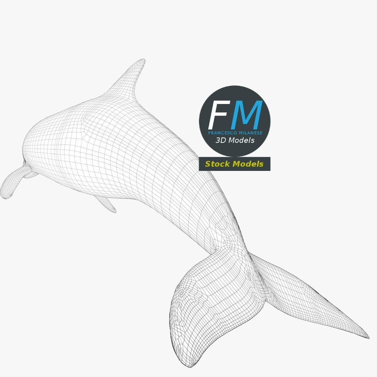 Stylized dolphin 3D model_8