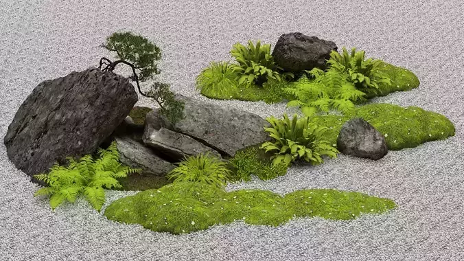 Landscape Installations of Bryophyte Plants