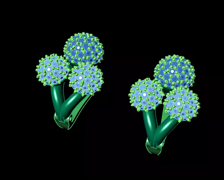 Pendant Earrings Rings Bracelet Combo 3D print model_1