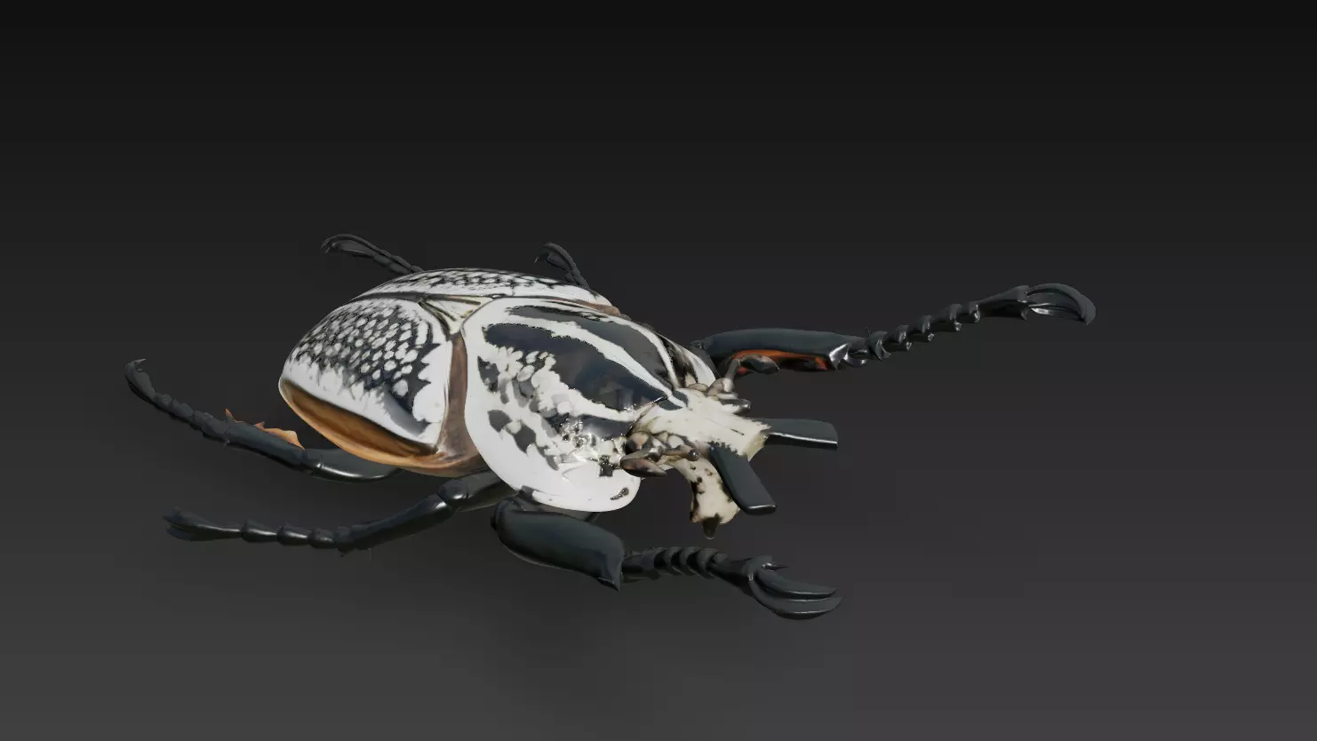 Imperial Goliath Beetle - Ornamental Realistic Sculpture 3D 3D print model_2