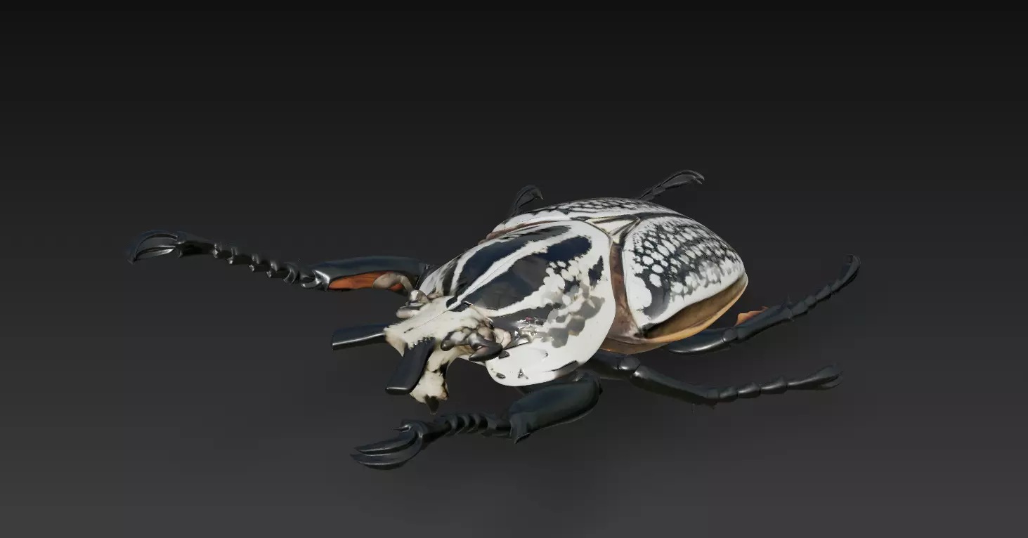 Imperial Goliath Beetle - Ornamental Realistic Sculpture 3D 3D print model_1