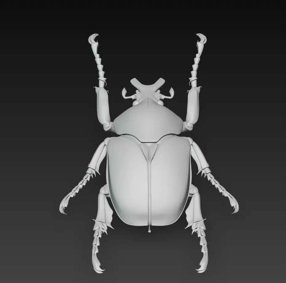 Imperial Goliath Beetle - Ornamental Realistic Sculpture 3D 3D print model_9