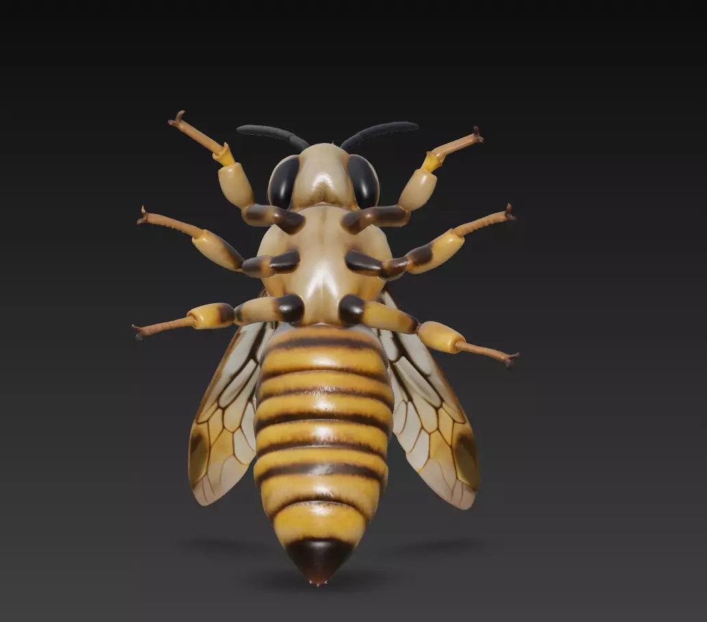 Realistic Hornet Sculpture - High-Detail Insect 3D Model 3D print model_3