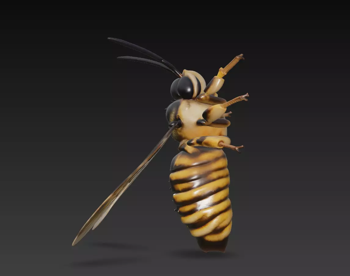Realistic Hornet Sculpture - High-Detail Insect 3D Model 3D print model_4