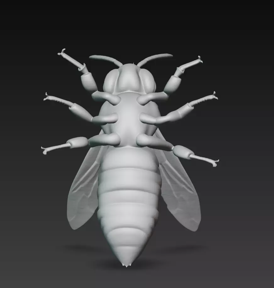 Realistic Hornet Sculpture - High-Detail Insect 3D Model 3D print model_6