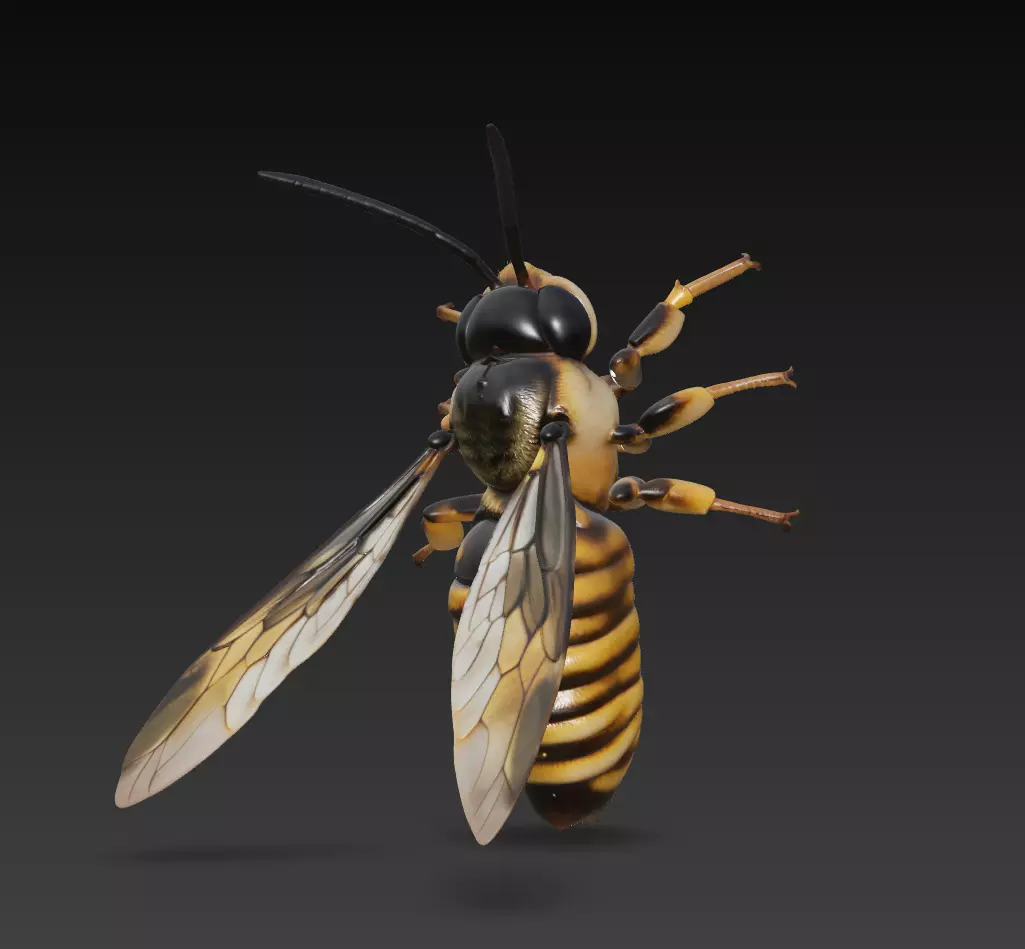 Realistic Hornet Sculpture - High-Detail Insect 3D Model 3D print model_1