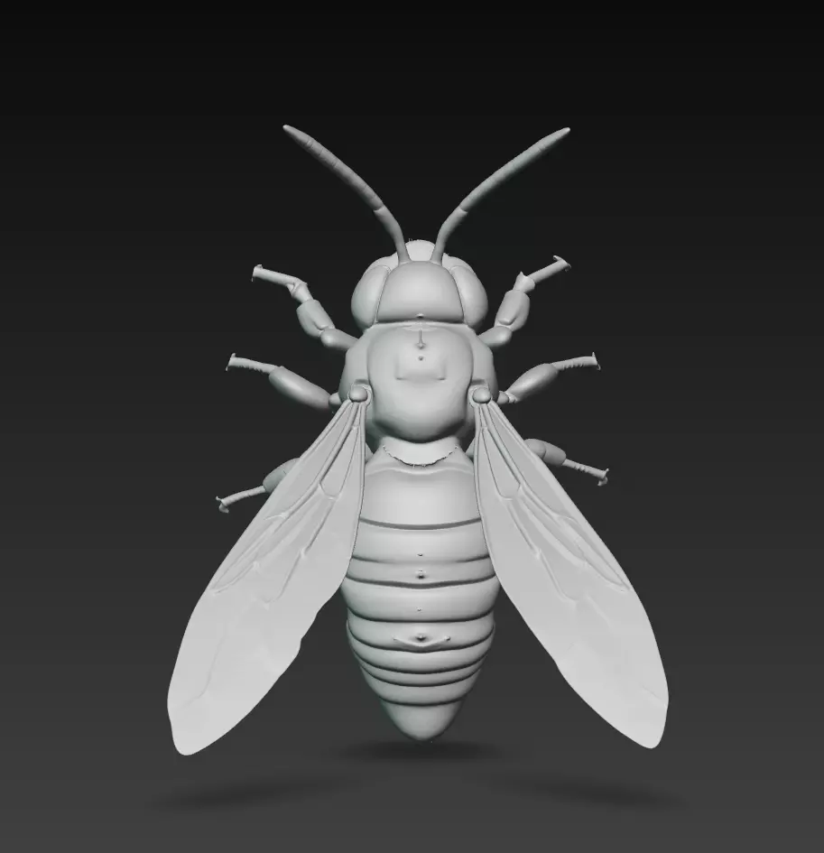 Realistic Hornet Sculpture - High-Detail Insect 3D Model 3D print model_7