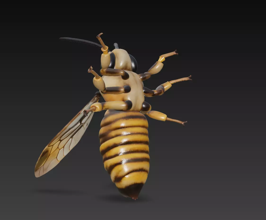 Realistic Hornet Sculpture - High-Detail Insect 3D Model 3D print model_2