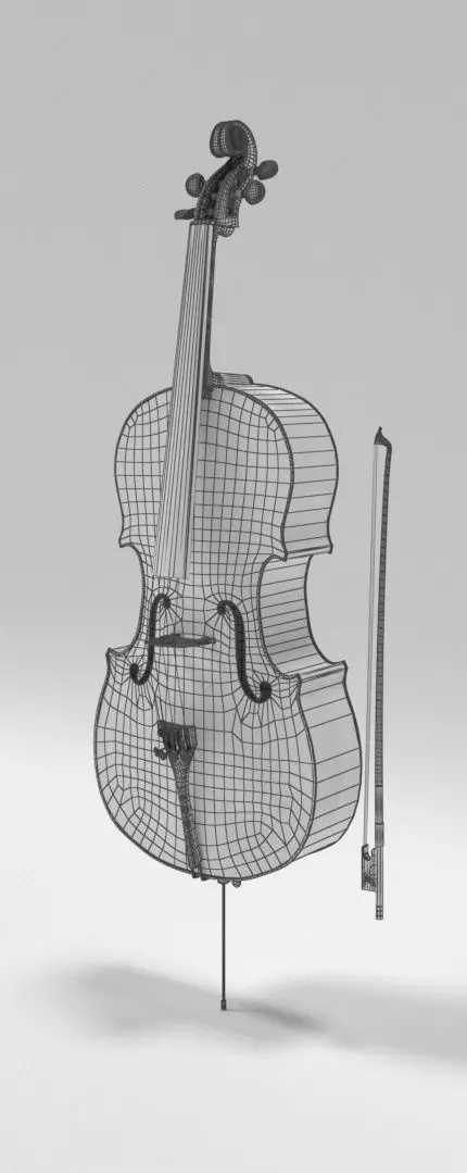 Bass Cello 3D model_9