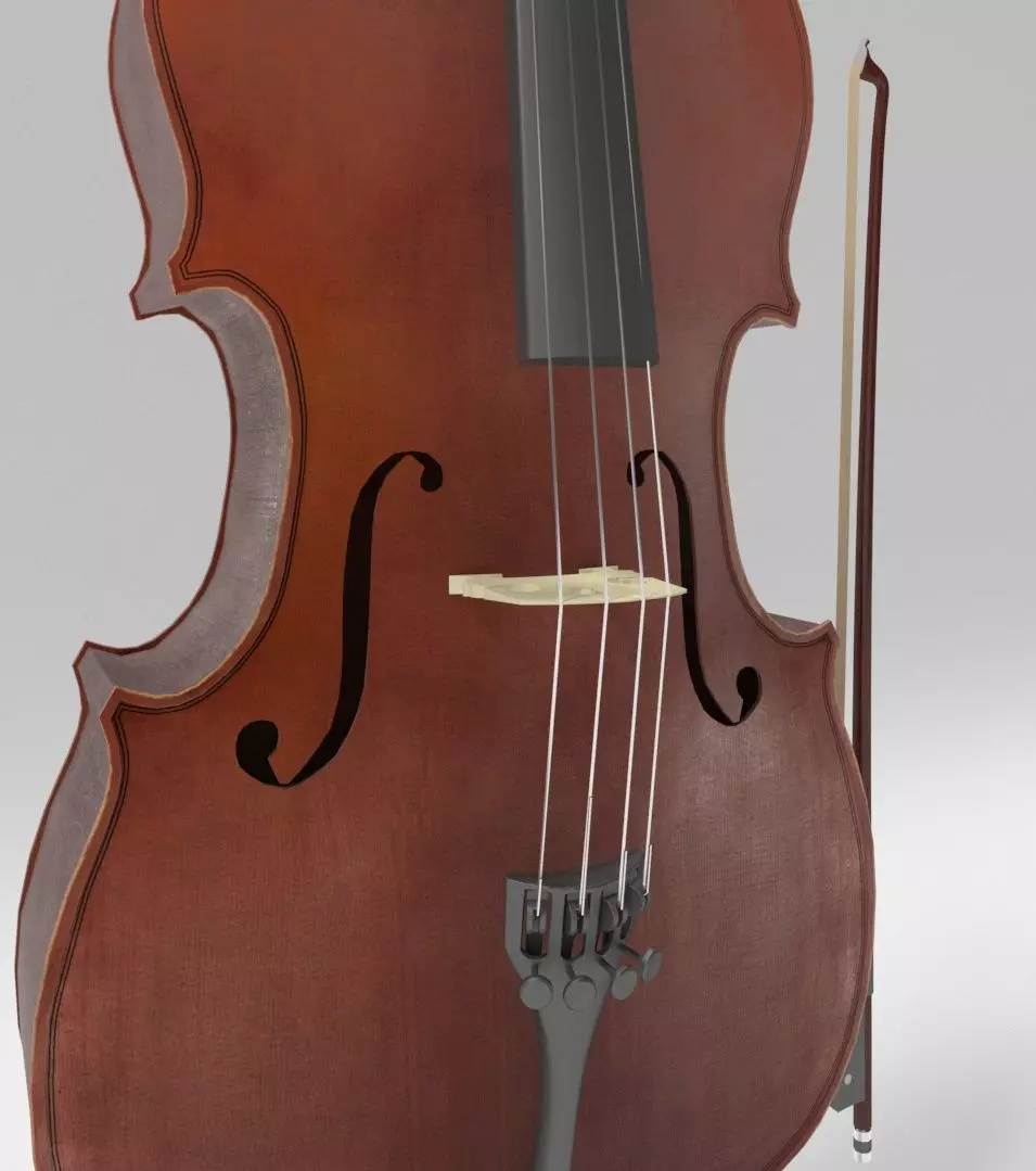 Bass Cello 3D model_6