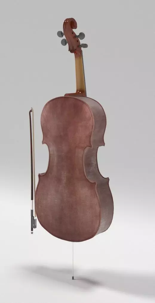 Bass Cello 3D model_3