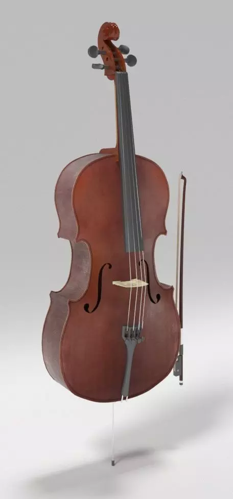 Bass Cello 3D model_2