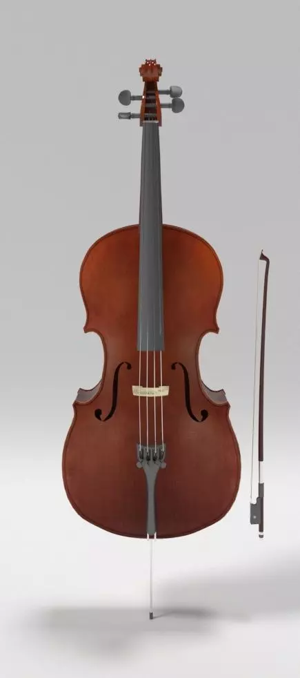 Bass Cello 3D model_1