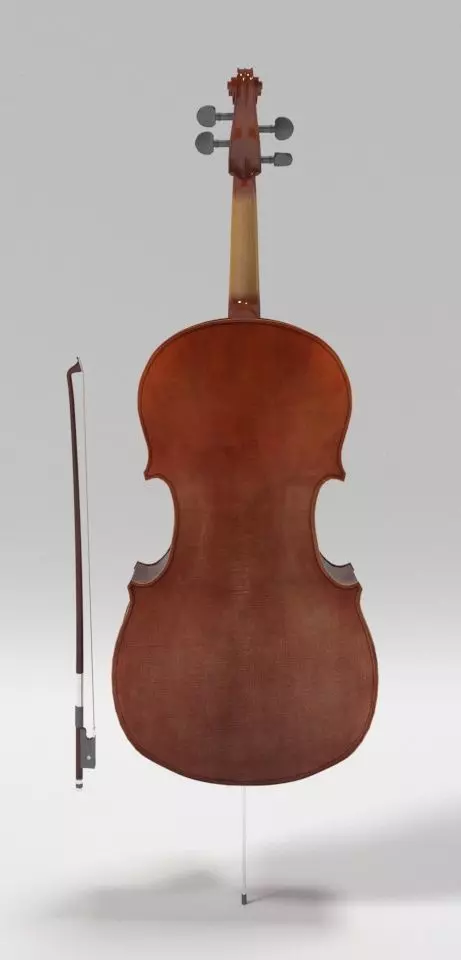 Bass Cello 3D model_4