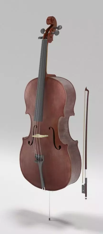 Bass Cello 3D model_0
