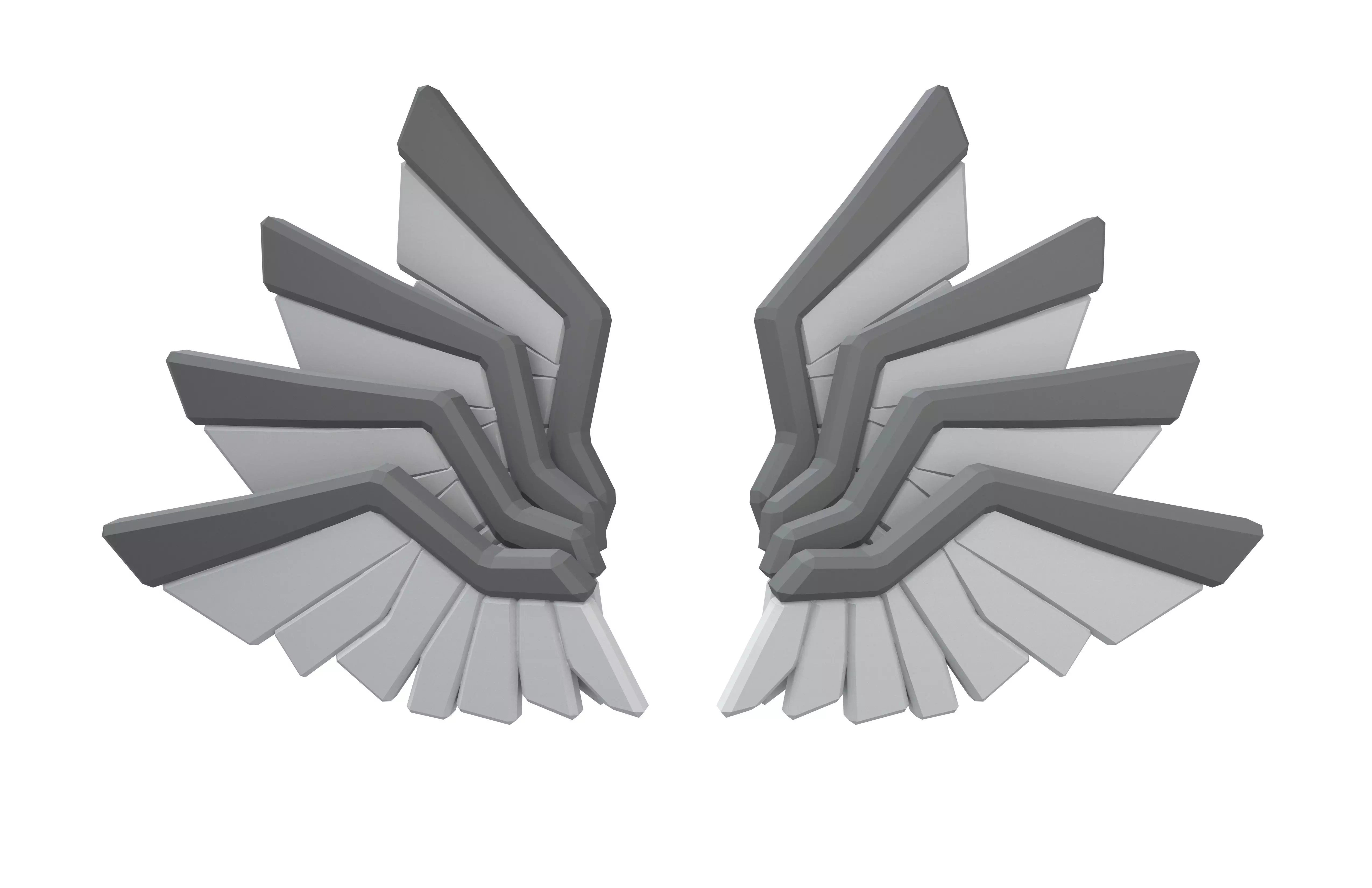 Low Poly Wings v11 001 Low-poly 3D model_1