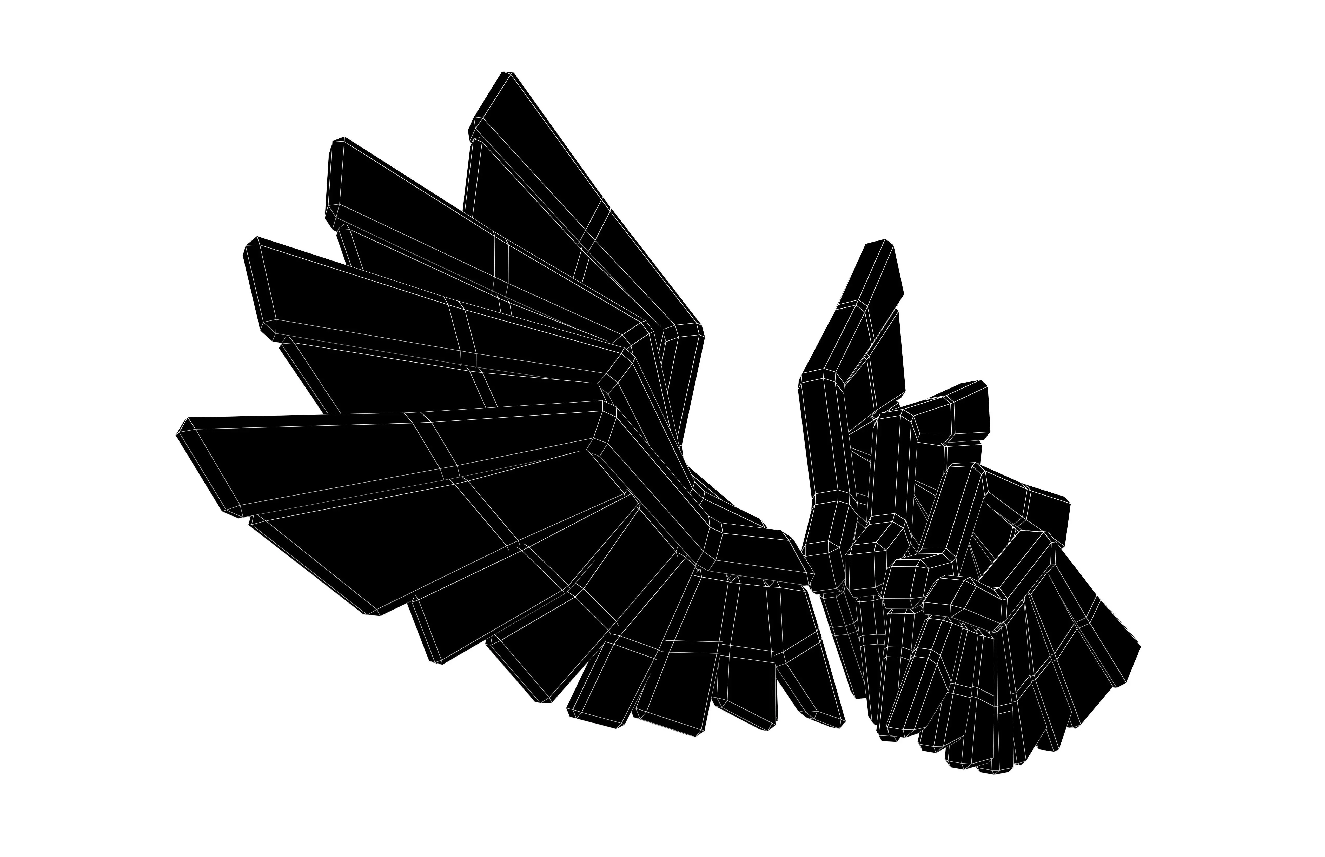 Low Poly Wings v11 002 Low-poly 3D model_7